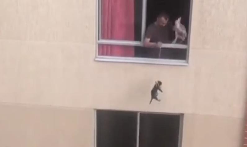 [VIDEO] Hombre amarra del cuello a su perro para "pasearlo" desde el segundo piso