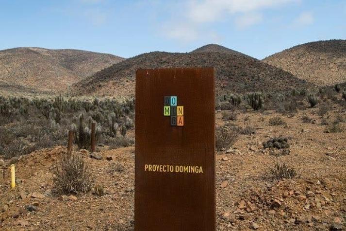 Tribunal Ambiental acoge reclamación en favor de proyecto minera Dominga