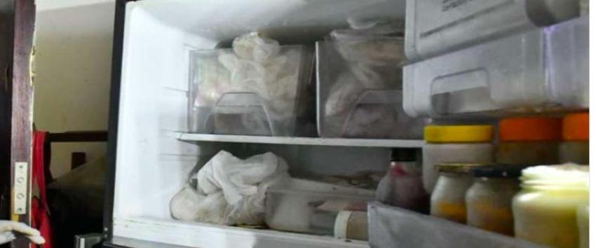 Encuentran 7 gatos muertos en el refrigerador de un departamento en Argentina