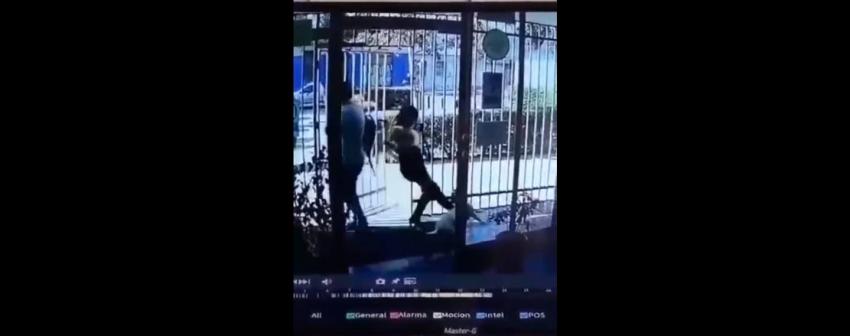 Brutal caso de maltrato animal: Indignación por video de mujer pateando a perro en Santiago Centro