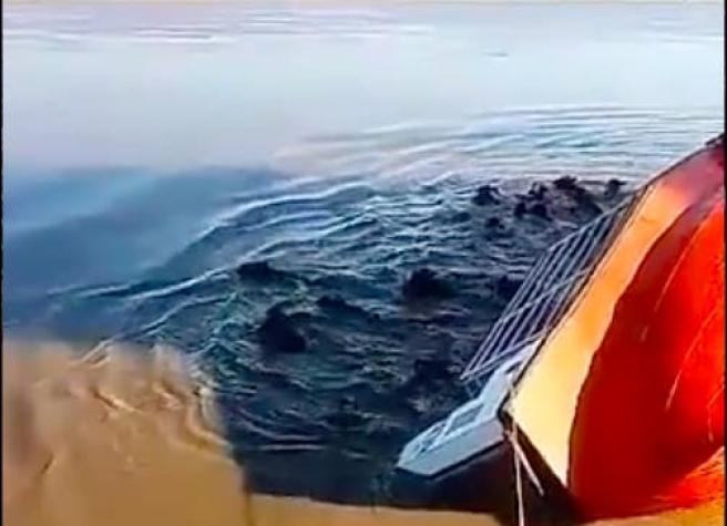 [VIDEO] Un barco con 60 vacas se dio vuelta en Argentina: La mitad murió ahogada