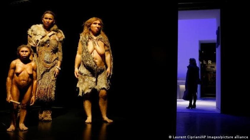 Estudio: genes de la creatividad dieron al "Homo sapiens" ventaja sobre los neandertales