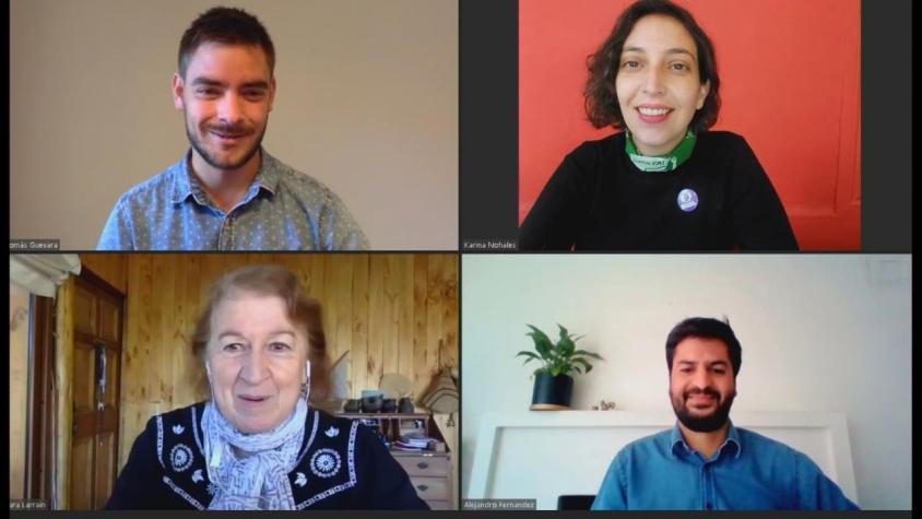 [VIDEO] Guevara, Nohales, Larraín y Fernández detallan por qué quieren ser constituyentes