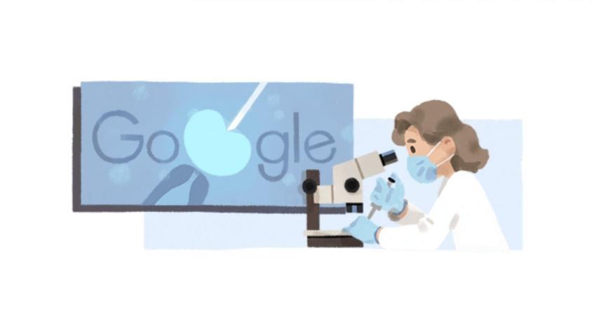 Google recuerda a Anne McLaren, la bióloga que ayudó a desarrollar la fertilización in vitro