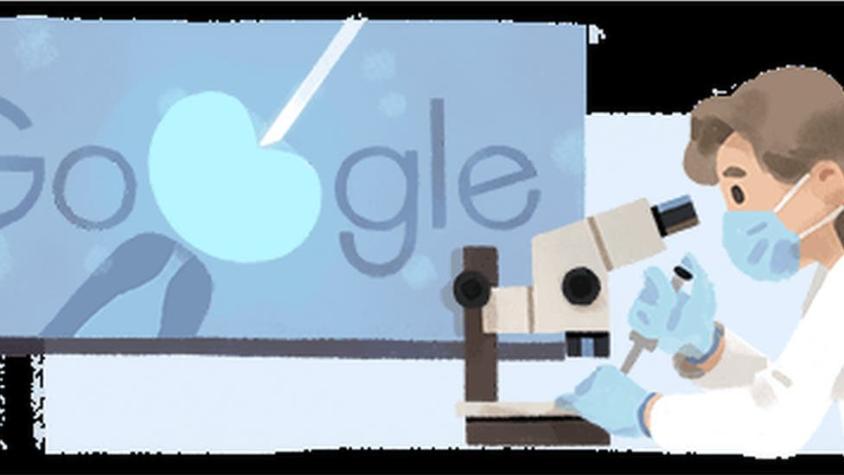 Anne McLaren: cuál fue el aporte de la científica que Google recuerda con un doodle
