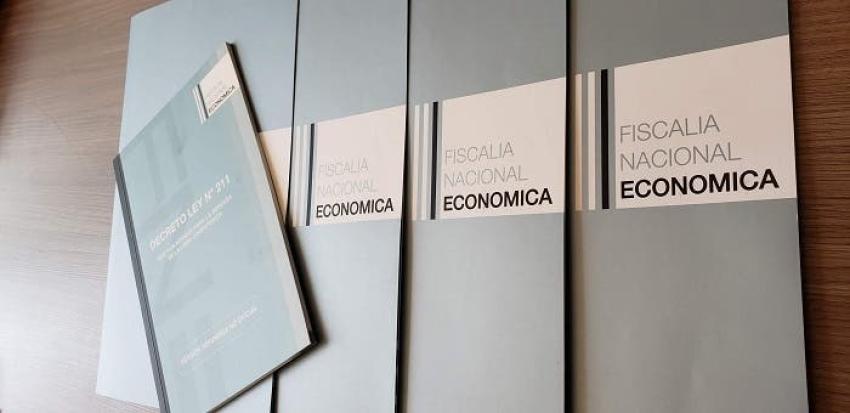 FNE y mercado del gas: “La competencia no está funcionando”