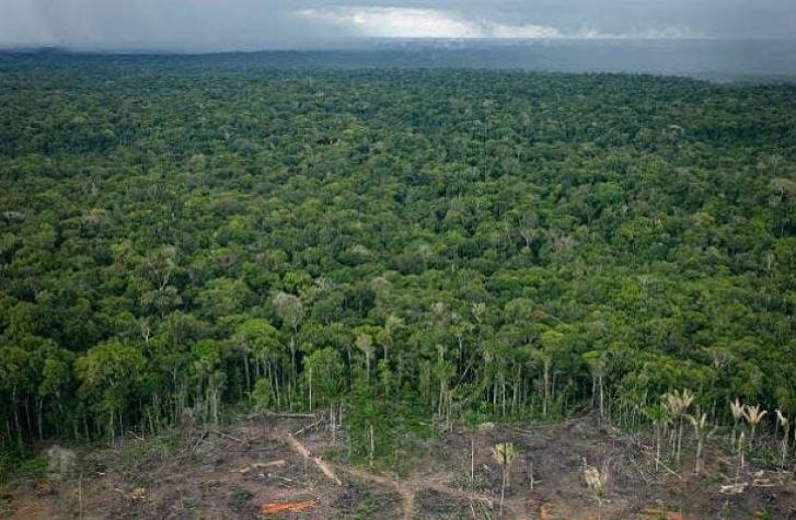 Los bosques de la Amazonía brasileña emitieron más carbono del que absorbieron