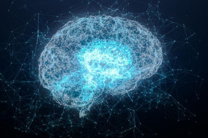 Neurocientíficos logran seguir un pensamiento a medida que avanza por el cerebro