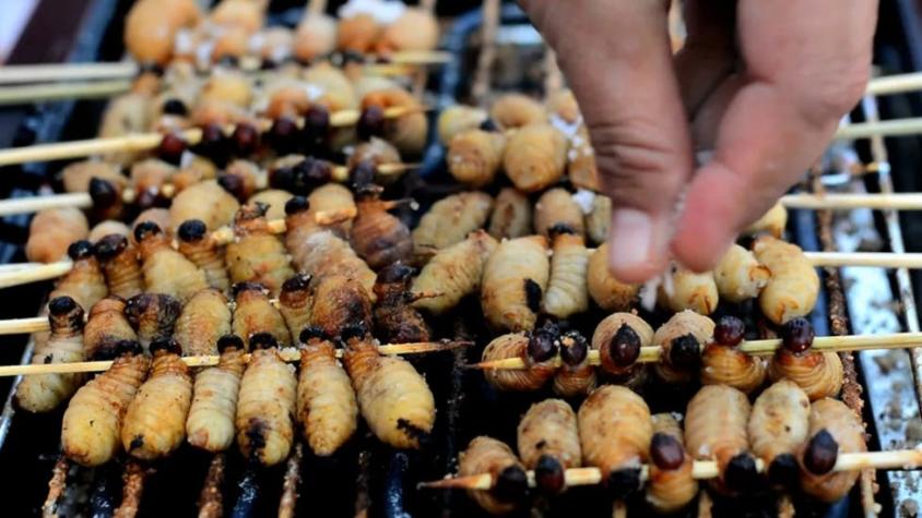 Por qué hay tanto rechazo a comer insectos si son considerados "superalimentos"