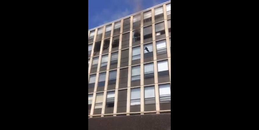 [VIDEO] "Gato volador" salva su vida saltando al vacío desde un edificio en llamas