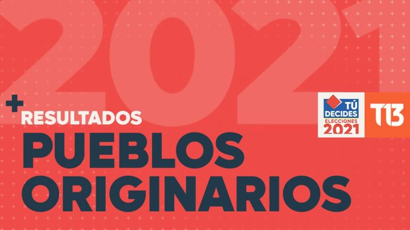 Convención Constitucional: revisa los resultados de los representantes de pueblos originarios