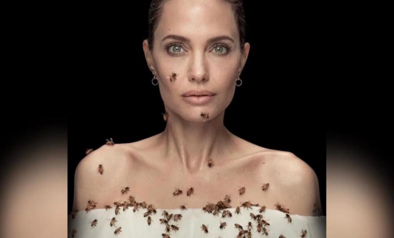 Angelina Jolie provoca escalofríos con imagen cubierta de abejas por una buena razón