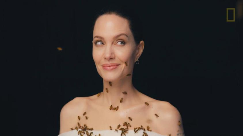 [VIDEO] La impactante imagen de Angelina Jolie cubierta de abejas por 18 minutos