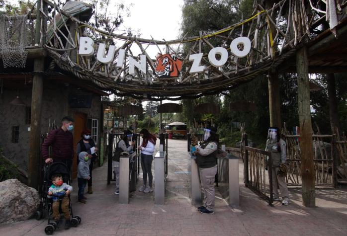Buin Zoo reabre sus puertas bajo estrictas medidas sanitarias y reserva previa