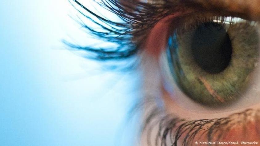 Proteína procedente de alga ayuda a paciente ciego a recobrar parcialmente la visión