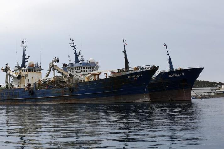 Diputados reingresan proyecto para impedir la pesca de arrastre de la merluza