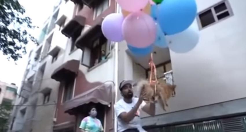 YouTuber indio ató perrita a globos de hidrógeno y grabó cómo se elevaba: fue detenido por maltrato