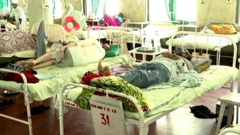 [VIDEO] Letal "hongo negro" ya detectado en Latinoamérica: ataca a convalecientes de COVID-19