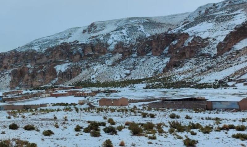 Tarapacá: Onemi informa cierre de ruta que une Chile y Bolivia por intensa nevazón