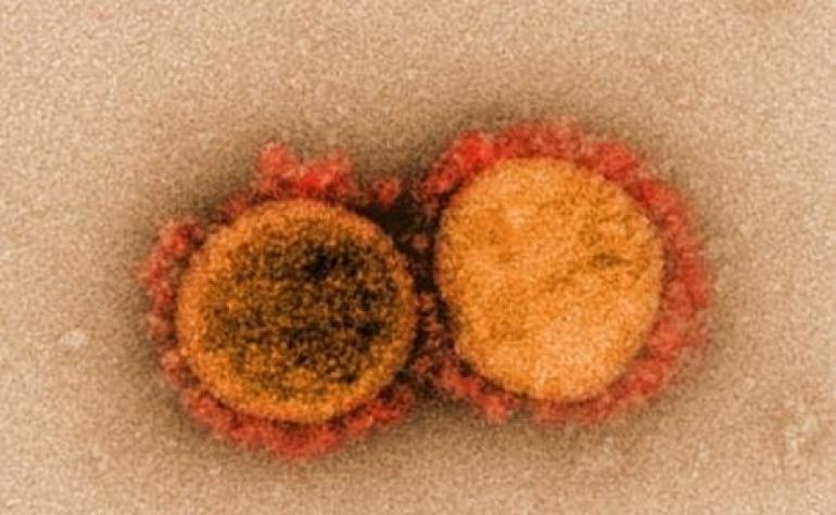 Vietnam descubre una nueva variante del coronavirus