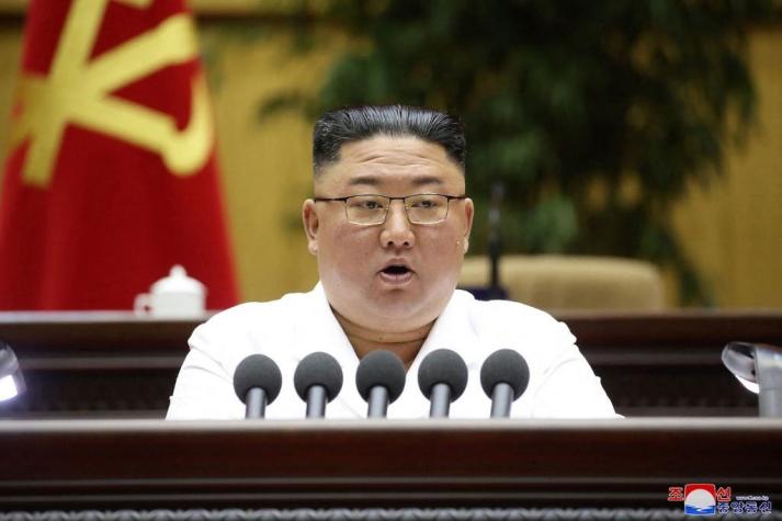 Kim Jong-un habría ordenado matar a gatos y palomas para frenar avance del COVID-19