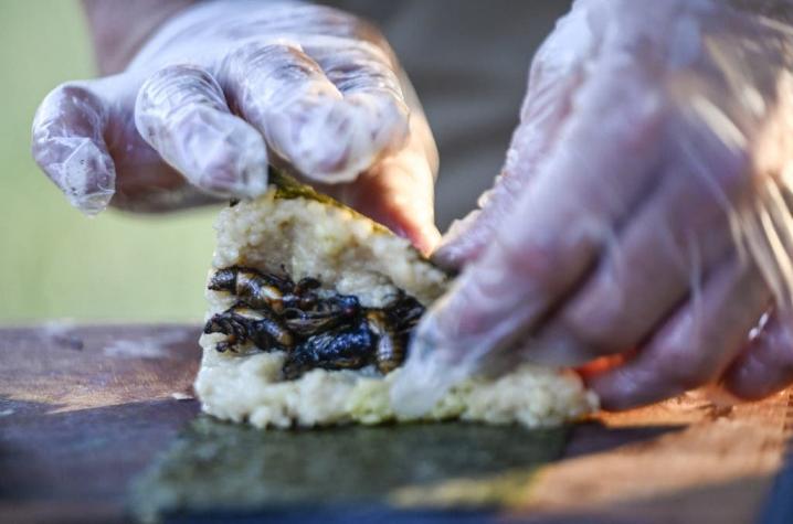 [FOTOS] ¿Sushigarra?: Chef crea sushi que tiene de ingredientes a cigarras que invadieron EE.UU