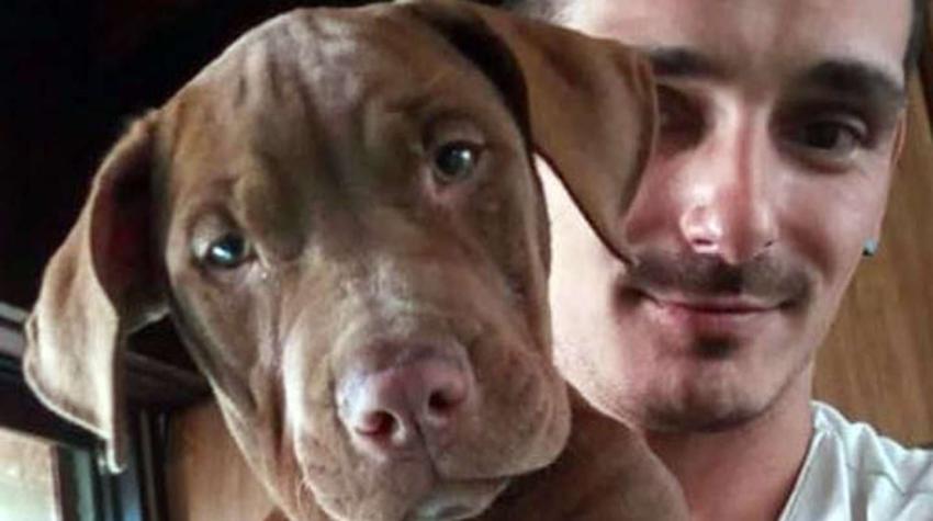 Un "Motochorro" robó una perra, se arrepintió y la devolvió junto a una carta: "Perdón, es hermosa"