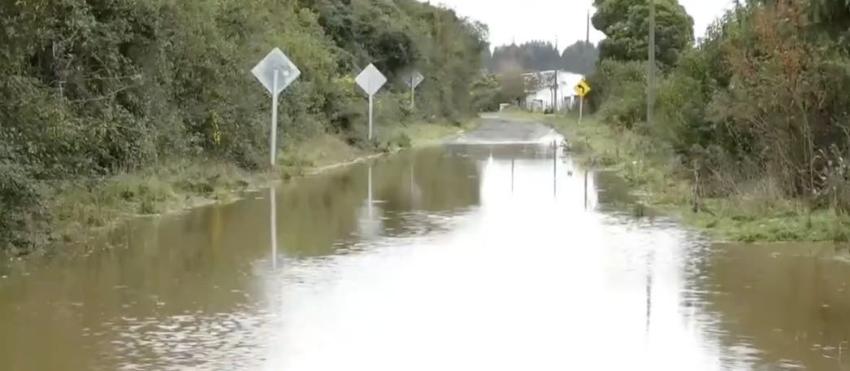 Alerta roja en Toltén por inundación tras desborde de ríos: 96 damnificados y 40 viviendas anegadas