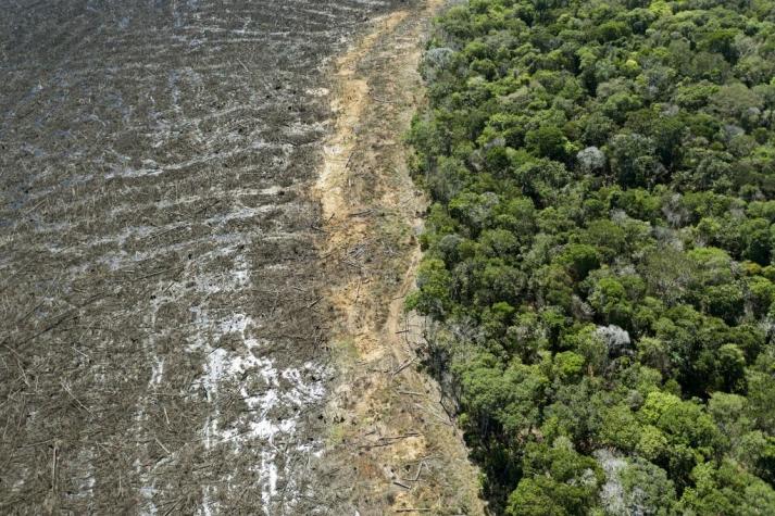 Deforestación en Amazonía brasileña alcanza récord al avanzar 41% en mayo