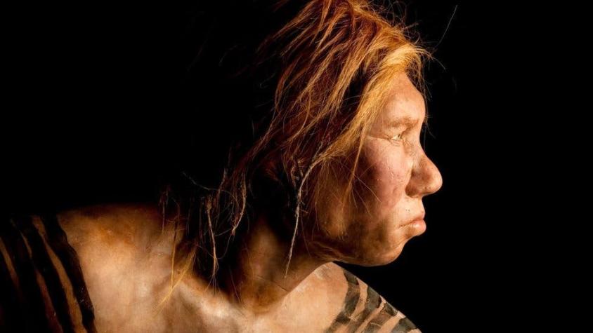 Nuestra huella genética neandertal influye en el sueño, el humor y en la respuesta al Covid-19