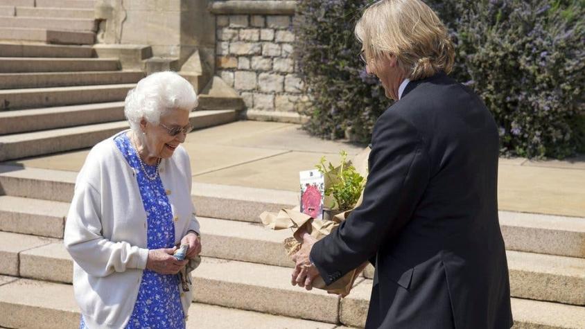 La nueva rosa creada para recordar al príncipe Felipe en el que hubiera sido su 100 cumpleaños