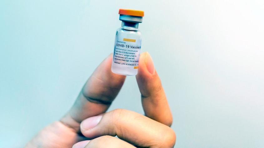 Sinovac podría instalar en Chile planta para producir millones de vacunas contra el coronavirus