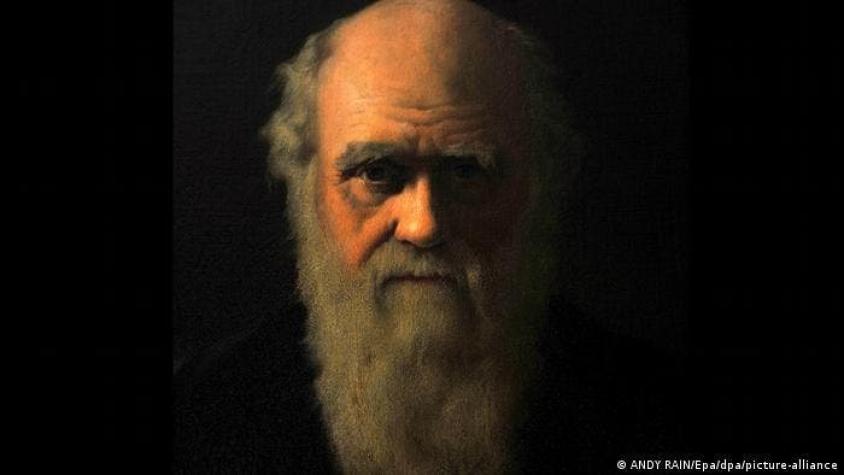 Darwin se equivocó sobre la selección sexual, según nueva investigación
