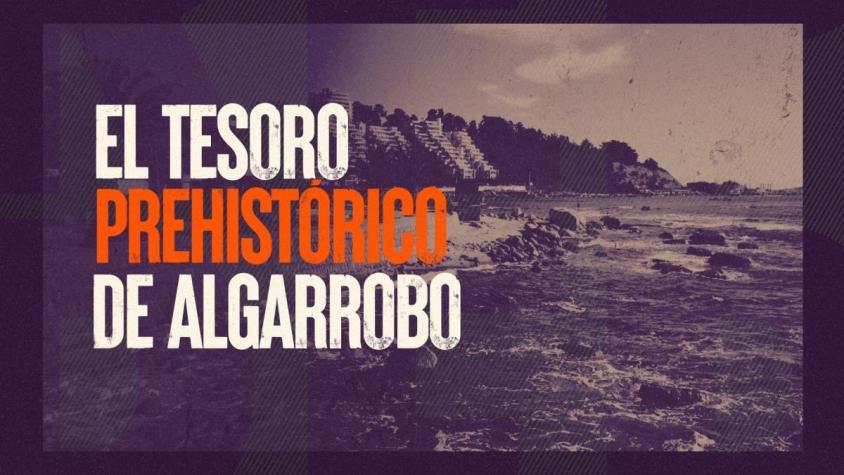 [VIDEO] Reportajes T13: El tesoro prehistórico de Algarrobo