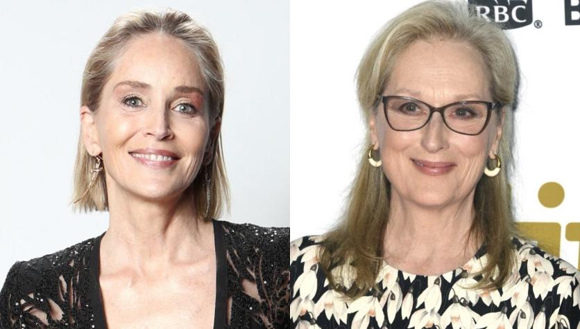 Sharon Stone criticó el estatus de ícono de Meryl Streep: "Hay otras actrices con el mismo talento"