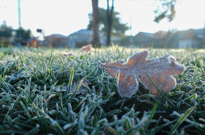 [VIDEO] La mañana más fría del año en la RM: Termómetros llegaron a los -5,1°C en Pirque