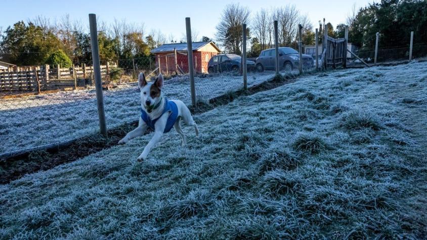 El frío no se va: Pronostican heladas para la zona central del país