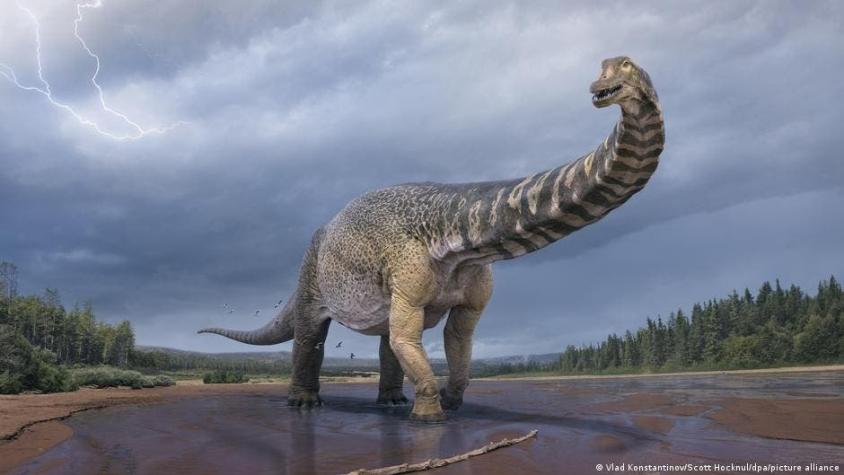Declive de los dinosaurios estaba en marcha mucho antes de la caída del asteroide, según estudio