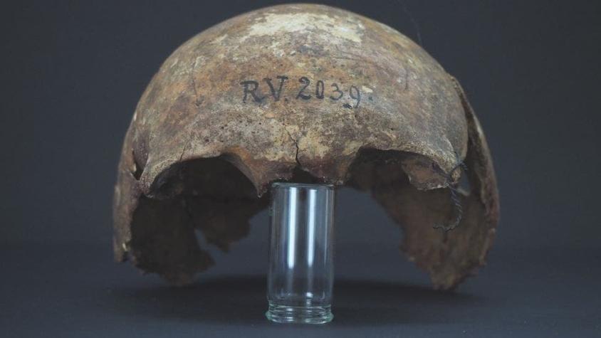 Hallan evidencia de un nuevo "paciente cero" de la peste negra de hace más de 5.000 años