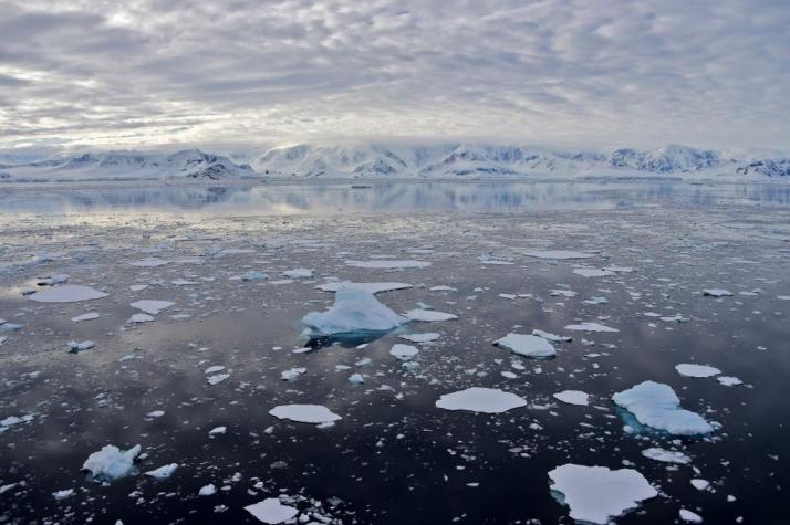 La Antártica batió su récord de calor y preocupa a los especialistas: alcanzó los 18,3 grados