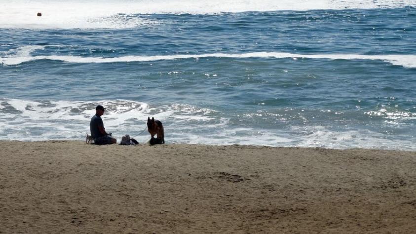 Hombre muere ahogado en Algarrobo tras lanzarse al mar para salvar a su perro: la mascota sobrevivió