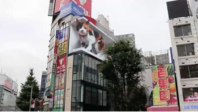 [VIDEO] Gigantesco gato en 3D sorprende a los habitantes en Tokio