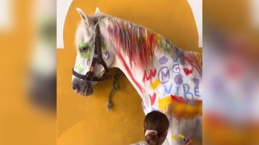 "Una aberración": Repudio por niños que pintan caballo con brochas en "actividad infantil"