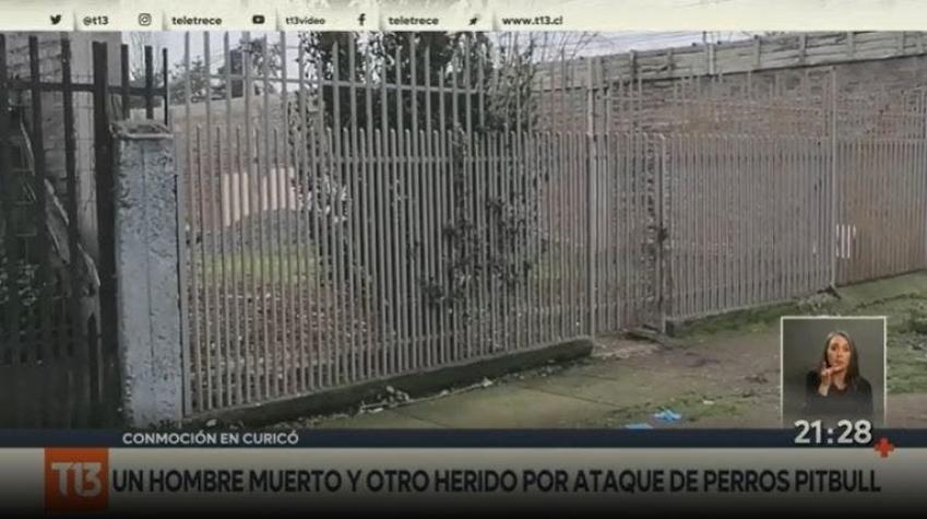 [VIDEO] Un hombre muerto y otro herido tras ataque de perros en Curicó