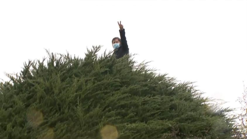 [VIDEO] El momento en que Gabriel Boric trepó árbol que apareció en su franja electoral