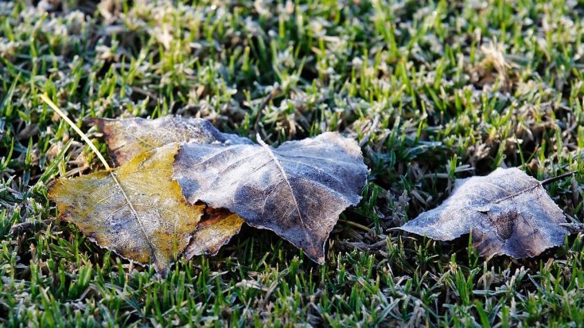 Vuelven las temperaturas bajo 0°C: Emiten alerta por heladas para este fin de semana