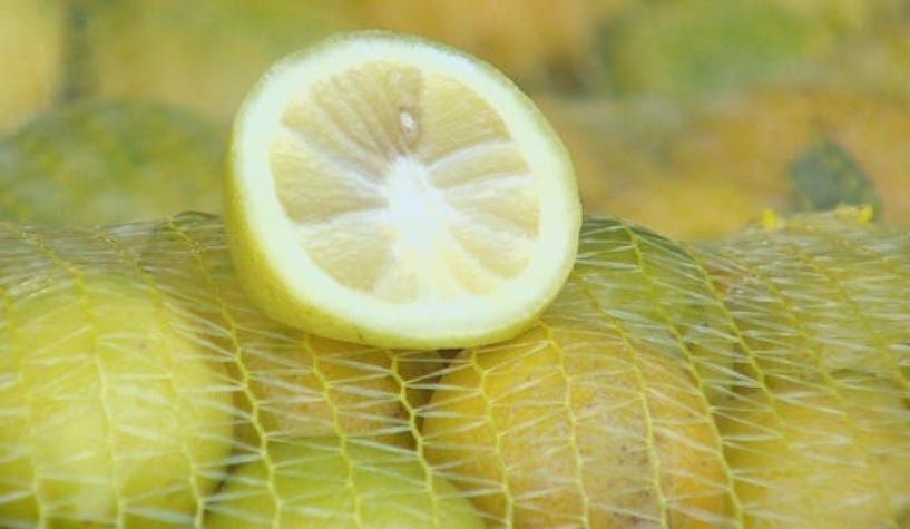 [VIDEO] Limones más baratos: Malla de 18 kilos llegaría a "luca"