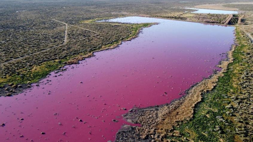 Río en argentina se tiñe de inusual "color chicle" por la contaminación