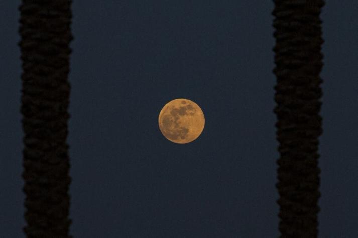 Qué es el bamboleo de la Luna y qué tiene que ver con las mareas e inundaciones en el mundo