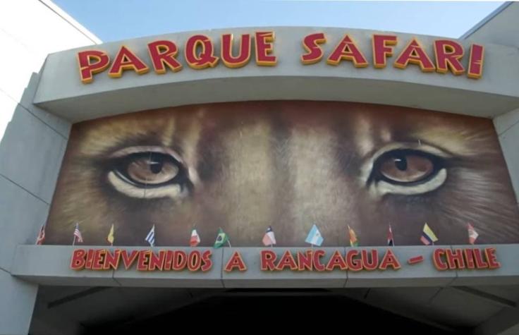 Gobierno decreta suspensión indefinida de funcionamiento para el parque Safari de Rancagua